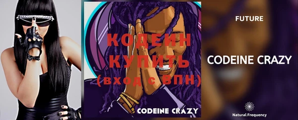 твердый Краснослободск