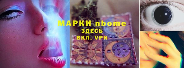 твердый Краснослободск