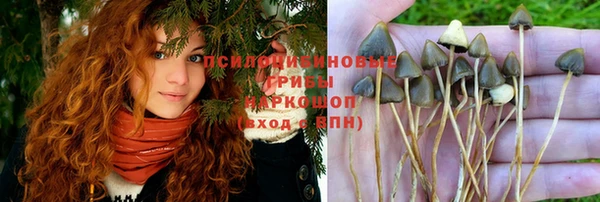 синтетический гашиш Коряжма