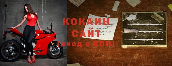 твердый Краснослободск