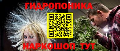 дмт Свободный
